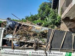 Best Yard Waste Removal  in Bicknell, IN